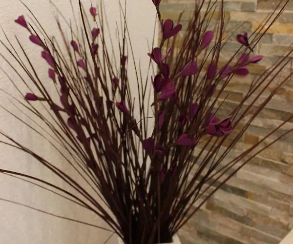 Lucky With Jacuzzi Appartement *