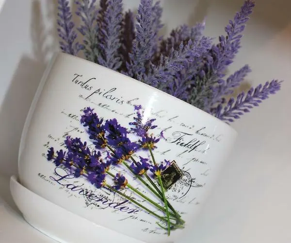 Lucky With Jacuzzi Lejlighed